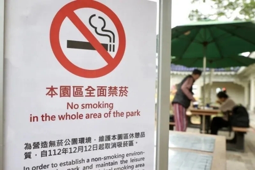 全球超過1億人使用電子煙...台灣累計開罰1萬多件「違法菸品」、裁罰8.8億元